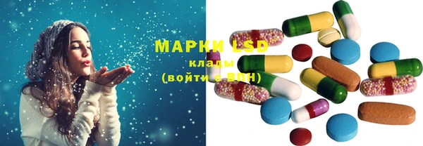 индика Козельск