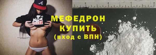индика Козельск