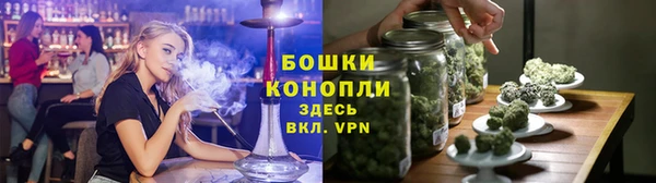 индика Козельск
