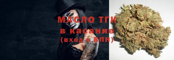 индика Киренск