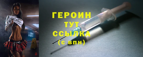 индика Козельск