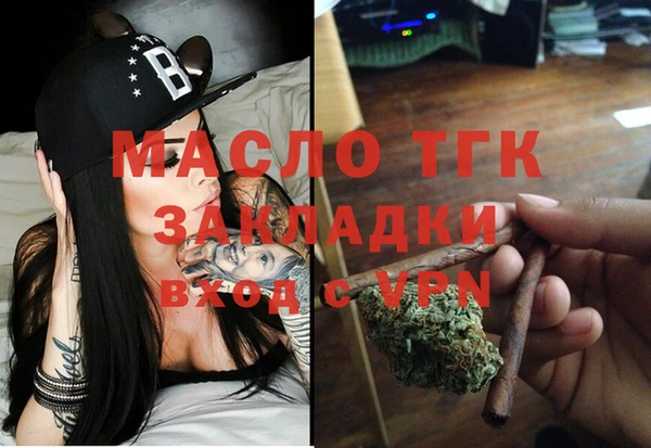 индика Козельск