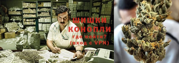 гашик Коряжма