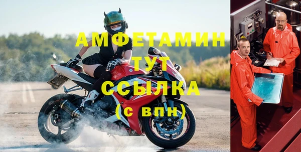 индика Козельск