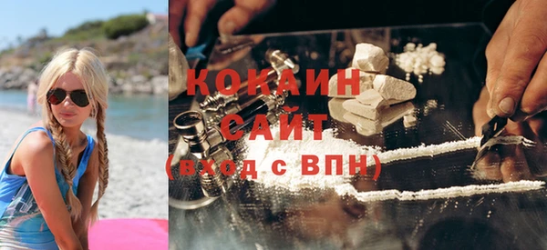 индика Козельск