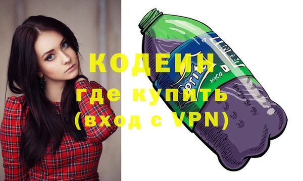 индика Козельск