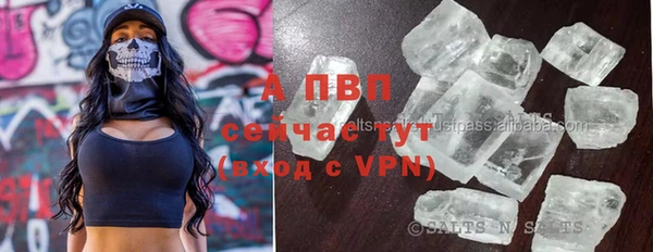 индика Козельск