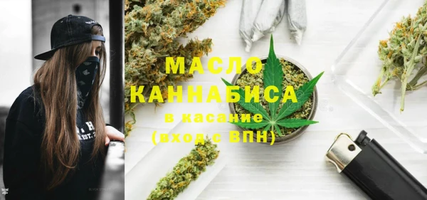 индика Козельск