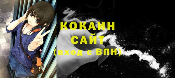 индика Киренск