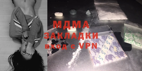 индика Козельск