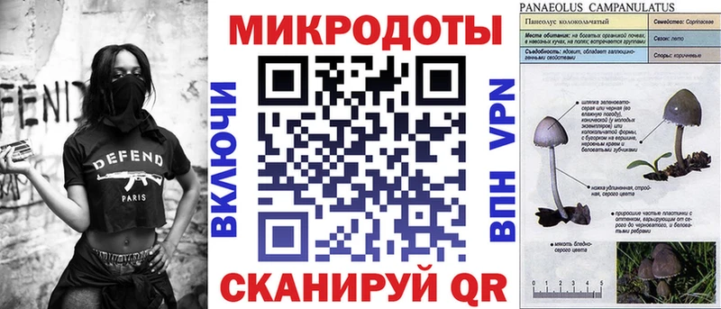 Галлюциногенные грибы Psilocybe  Купить  Ветлуга 